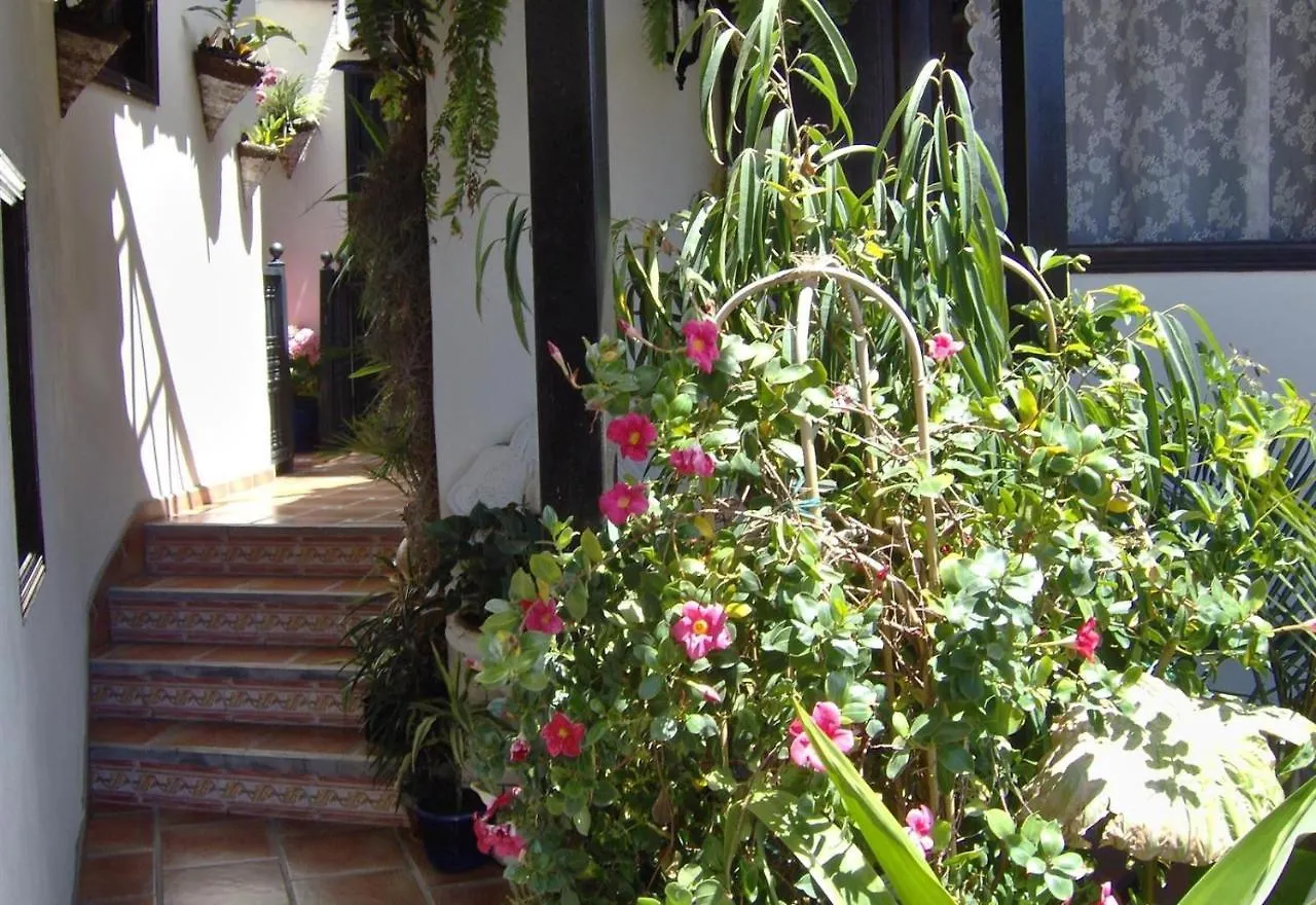 Apartment Aptos Monasterio De San Antonio 7 Icod De Los Vinos